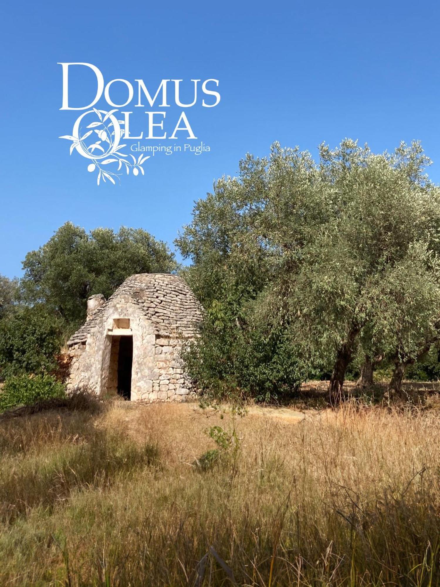 Domus Olea Glamping Ξενοδοχείο Ceglie Messapica Εξωτερικό φωτογραφία