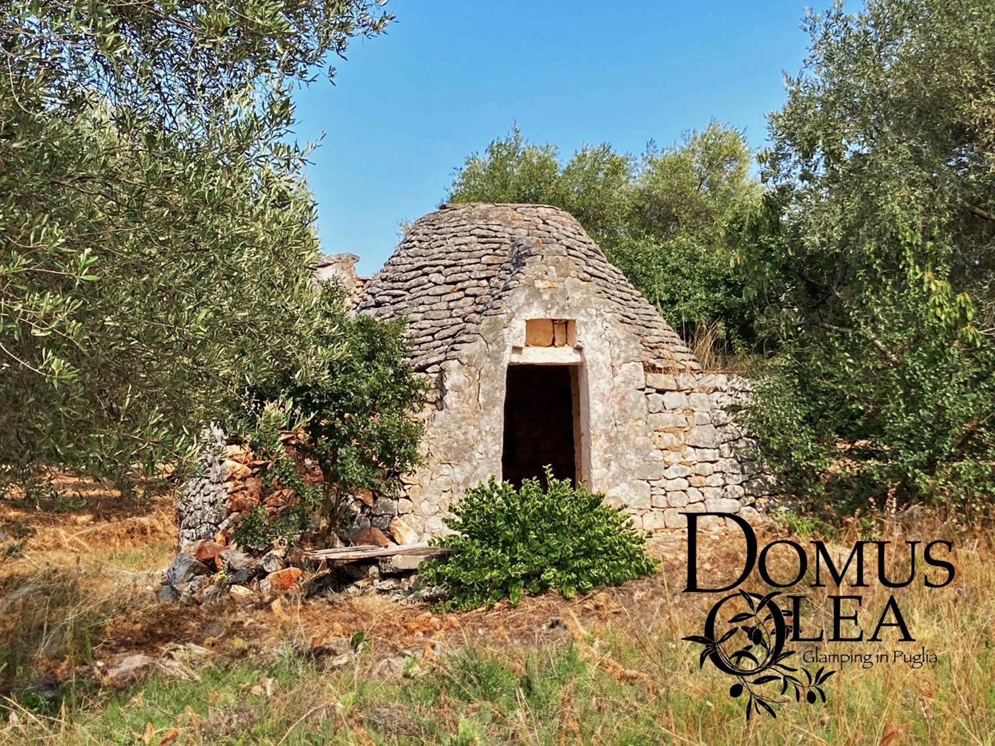 Domus Olea Glamping Ξενοδοχείο Ceglie Messapica Εξωτερικό φωτογραφία