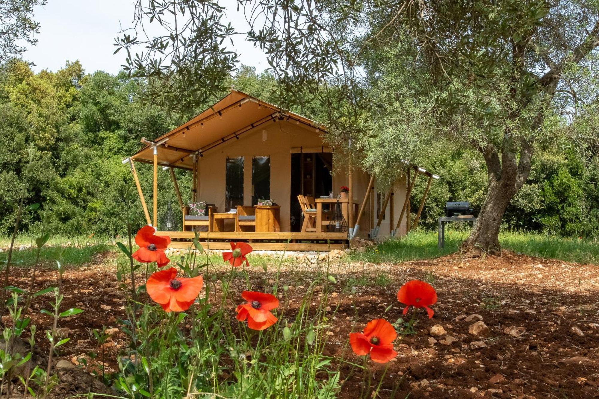 Domus Olea Glamping Ξενοδοχείο Ceglie Messapica Εξωτερικό φωτογραφία